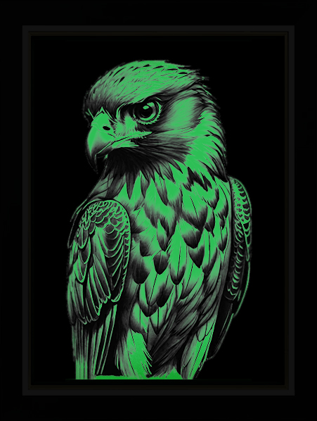 Tableau Photo-lumineux | Aigle – Image 4