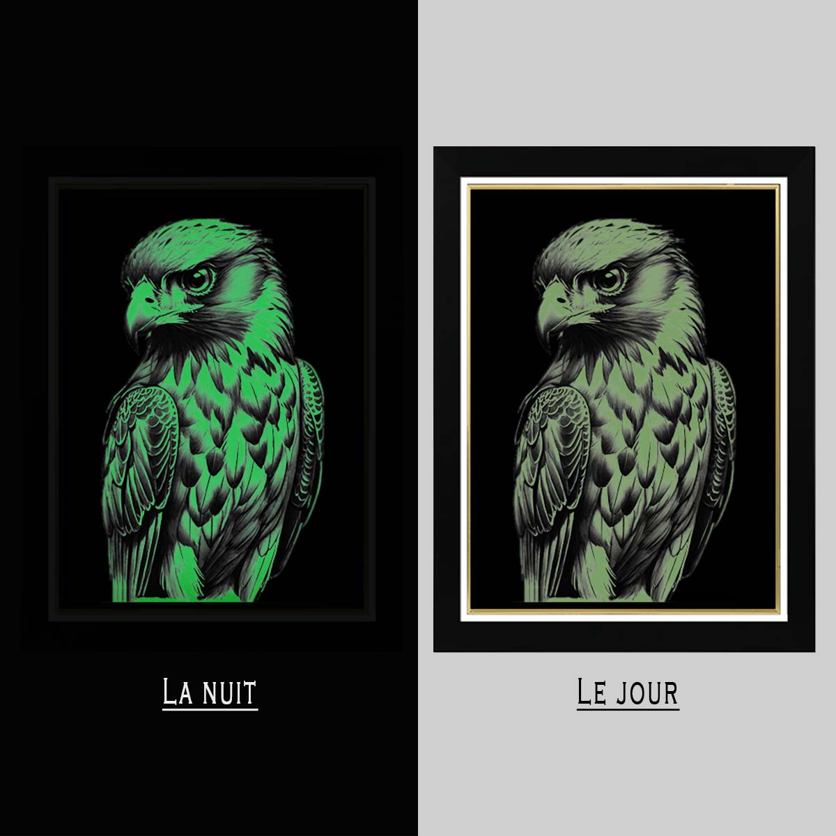 Tableau Photo-lumineux | Aigle – Image 5