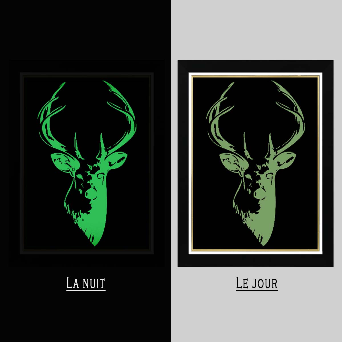 Tableau Photo-lumineux | Gazelle – Image 4