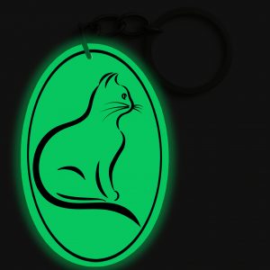 Porte-clés | Bagira