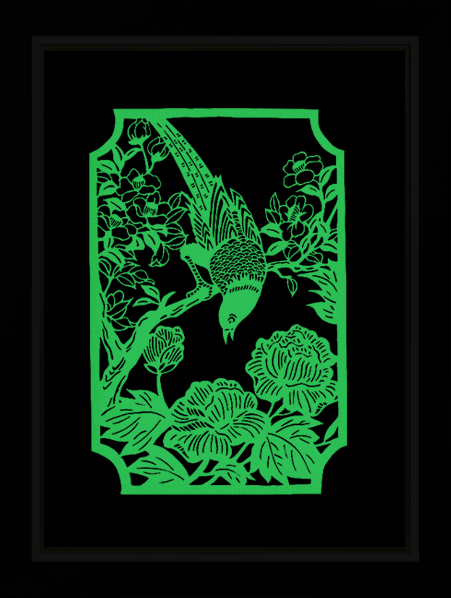 Tableau Photo-lumineux | Oiseau – Image 3