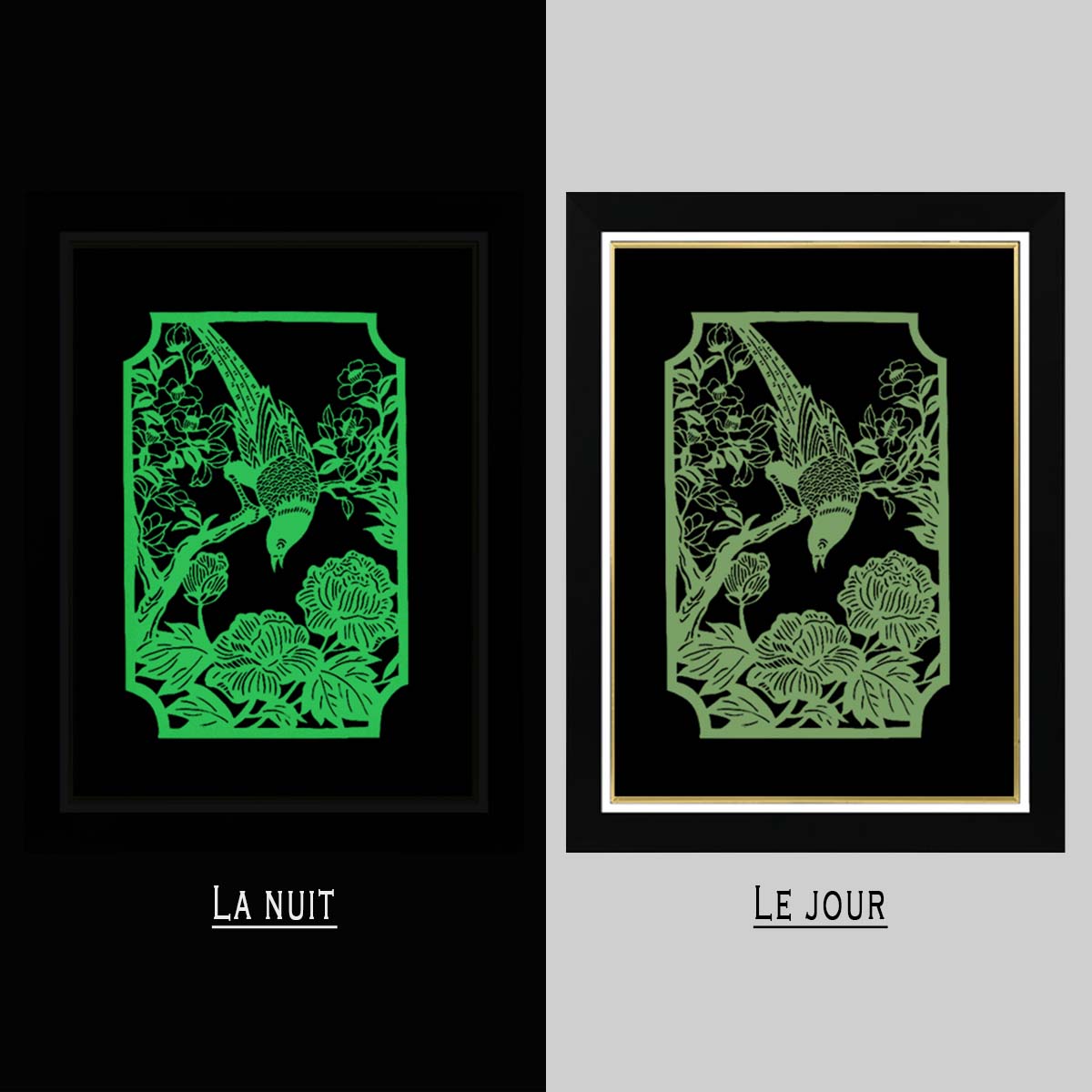 Tableau Photo-lumineux | Oiseau – Image 4