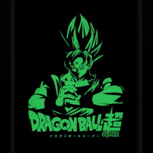 Tableau Photo-lumineux | Dragon Ball