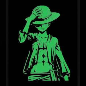Tableau Photo-lumineux | Monkey D. Luffy