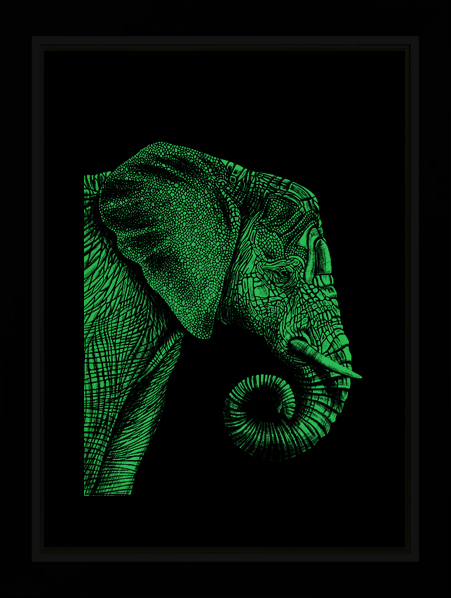 Tableau Photo-lumineux | Eléphant – Image 3