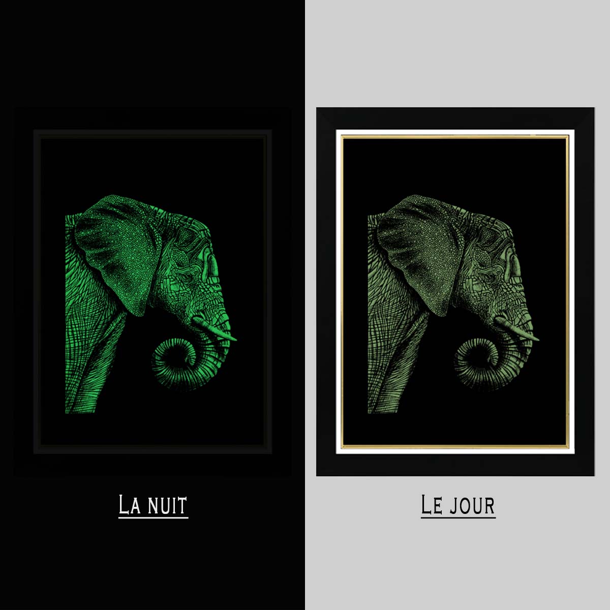 Tableau Photo-lumineux | Eléphant – Image 4