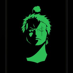 Tableau Photo-lumineux | Roronoa Zoro