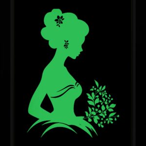 Tableau Photo-lumineux | Princesse