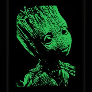 Tableau Photo-lumineux | Groot