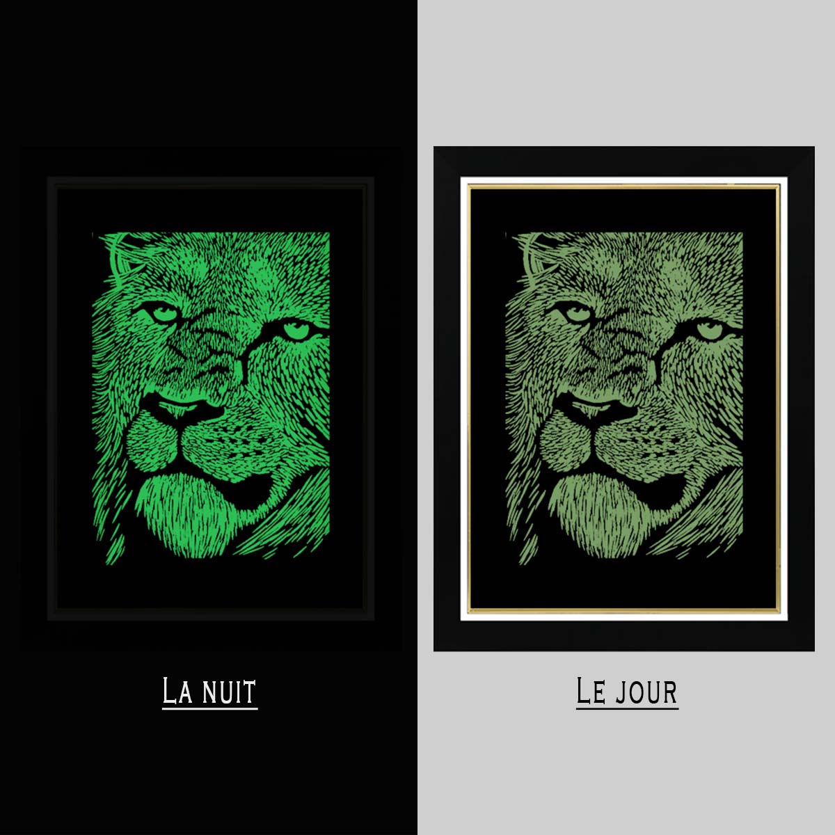 Tableau Photo-lumineux | Lion – Image 4