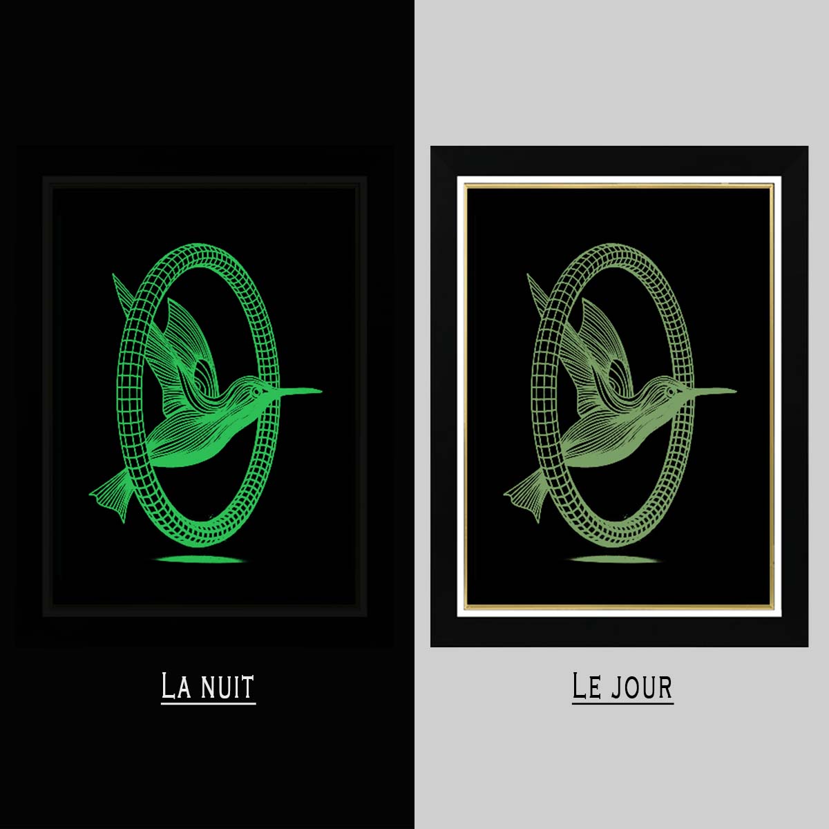 Tableau Photo-lumineux | Oiseau – Image 5