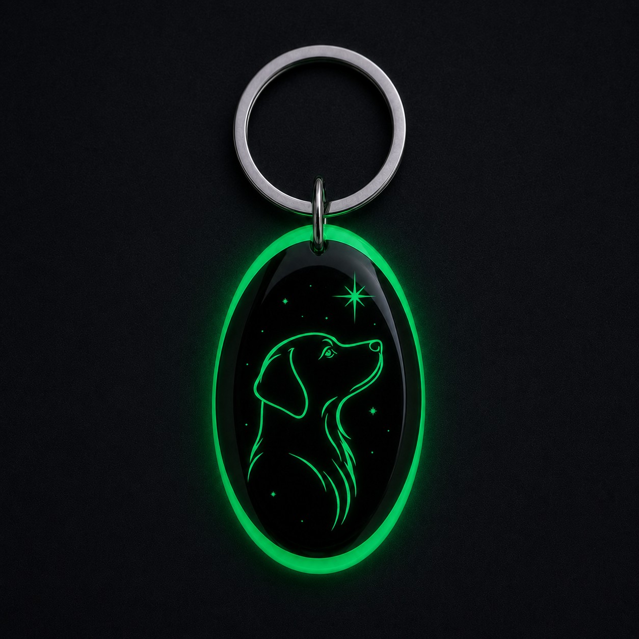 Dog Star avec effet photoluminescent vert dans l’obscurité
